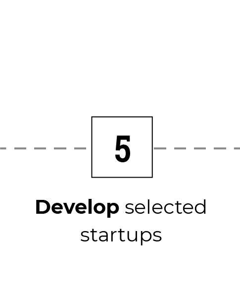 Develop selected startups